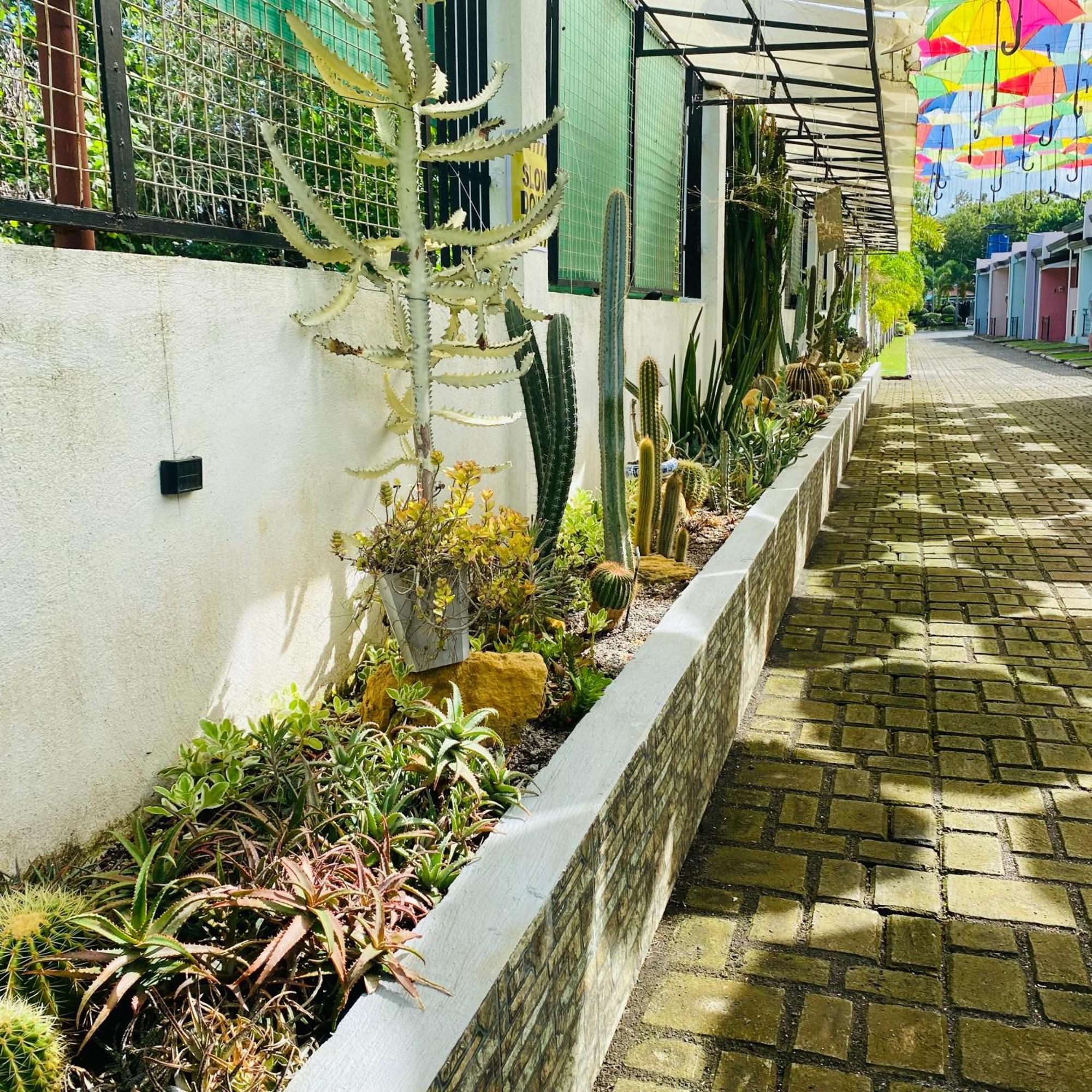 Sunshine Stay Panglao Island Exterior photo